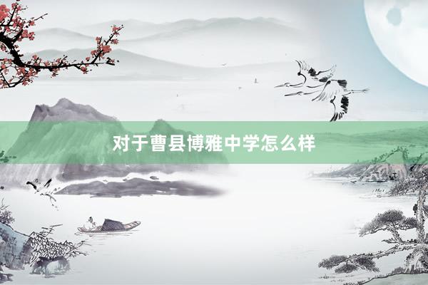对于曹县博雅中学怎么样
